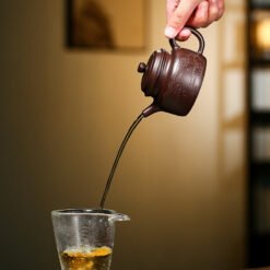 Ấm Trà Tử Sa Tử Nê Dáng Đức Trung DT006 Cao Cấp vòi ấm cho dòng chảy mạnh