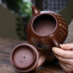 Những Bí Mật Đằng Sau Sự Đắt Đỏ Của Ấm Tử Sa