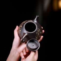 Ấm tử Thạch Biều hắc nê nguyên khoáng TB016 dung tích 220ml