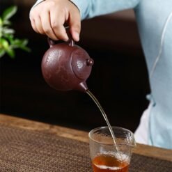 Ấm Tử Sa Long Đán Tử Nê LD006 cao cấp 250ml