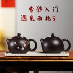 Ấm Tử Sa Hắc Tử Nê dáng Tây Thi hoa mận TT007 cao cấp